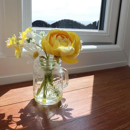 펜션 Broadings At Broadings Farm